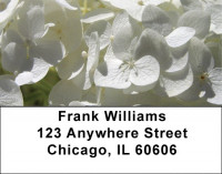 Wonder In White Address Labels | LBZFLO-54