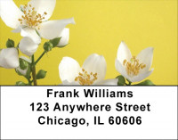 Yellow And White Florals Address Labels | LBZFLO-55