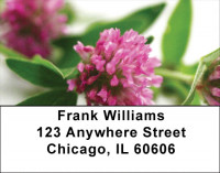 Clovers Address Labels | LBZFLO-56
