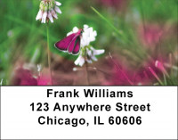 Clovers Address Labels | LBZFLO-56