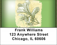 Hibiscus - Yummy Hibiscus Address Labels | LBZFLO-64