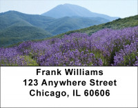 Mountain Wildflowers Address Labels | LBZFLO-65