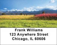 Mountain Wildflowers Address Labels | LBZFLO-65