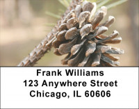 Pinecones A Plenty Address Labels | LBZFLO-66