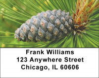 Pinecones A Plenty Address Labels | LBZFLO-66