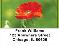 Poppy Address Labels | LBZFLO-69