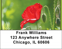 Poppy Address Labels | LBZFLO-69