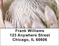 Protea Address Labels | LBZFLO-70