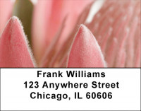 Protea Address Labels | LBZFLO-70