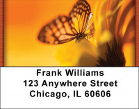 Golden New Day Address Labels | LBZFLO-71
