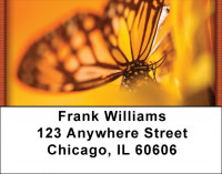 Golden New Day Address Labels | LBZFLO-71