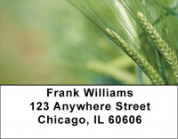 The Grain Harvest Address Labels | LBZFOD-06