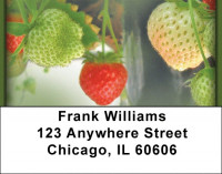 Bloomin' Strawberries Address Labels | LBZFOD-25