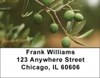 Olive Branch Address Labels | LBZFOD-27