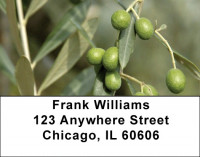 Olive Branch Address Labels | LBZFOD-27