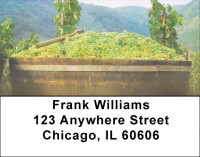 Fruit Of The Vine Address Labels | LBZFOD-30