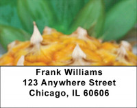 Pineapple Your Way Address Labels | LBZFOD-41