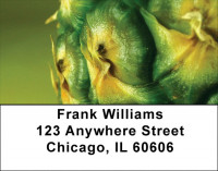 Pineapple Abstracts Address Labels | LBZFOD-42