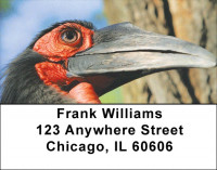 Black Magic Address Labels | LBZFUN-41