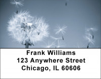 Put Dreams Into Motion Address Labels | LBZFUN-62