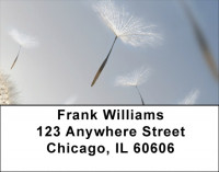 Put Dreams Into Motion Address Labels | LBZFUN-62