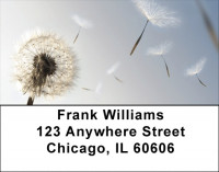Put Dreams Into Motion Address Labels | LBZFUN-62