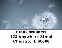 Put Dreams Into Motion Address Labels | LBZFUN-62