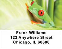 It's A Froggy Frog World Address Labels | LBZFUN-63