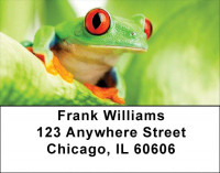 It's A Froggy Frog World Address Labels | LBZFUN-63