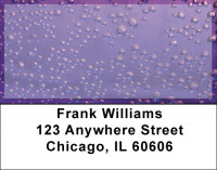 Raining In Technicolor Address Labels | LBZGEO-66