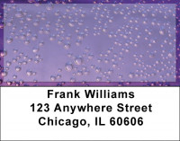 Raining In Technicolor Address Labels | LBZGEO-66