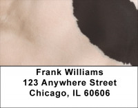 Holy Cow Address Labels | LBZGEO-71