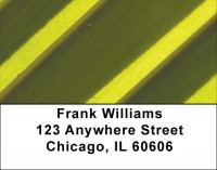 Abstract Black Gold Address Labels 2 | LBZGEO-80