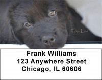 Puppy Love Address Labels | LBZLOV-08