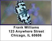 Lavender Blue Butterfly Address Labels | LBZMUS-15