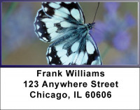 Lavender Blue Butterfly Address Labels | LBZMUS-15