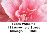 Azalea Gardens Address Labels | LBZNAT-17