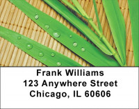 Bamboo Address Labels | LBZNAT-18