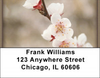 Cherry  Blossoms Address Labels | LBZNAT-19