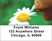She Loves Me Address Labels | LBZNAT-20