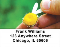 She Loves Me Address Labels | LBZNAT-20