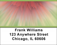 Pink Explosion Address Labels | LBZNAT-23