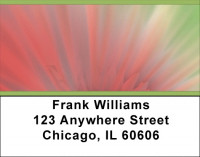 Pink Explosion Address Labels | LBZNAT-23