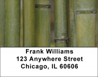Green Bamboo Address Labels | LBZNAT-36
