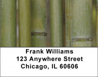 Green Bamboo Address Labels | LBZNAT-36