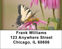 Brown Eyed Susans With Butterfly Address Labels | LBZNAT-38