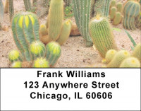 Desert Cactus Address Labels | LBZNAT-39