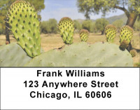 Desert Cactus Address Labels | LBZNAT-39