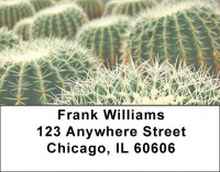 Desert Cactus Address Labels | LBZNAT-39