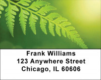 Branching Out Address Labels | LBZNAT-40